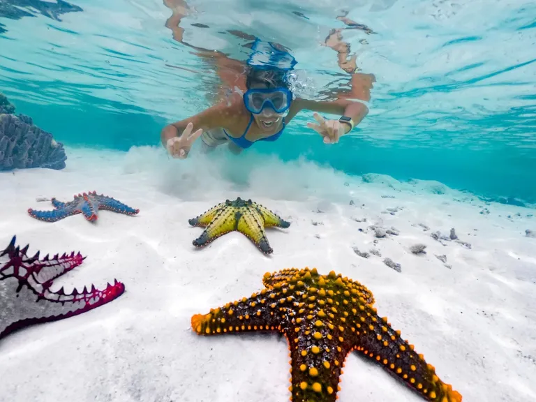 Ronjenje i podvodni svijet Zanzibara – egzotična avantura u Indijskom oceanu