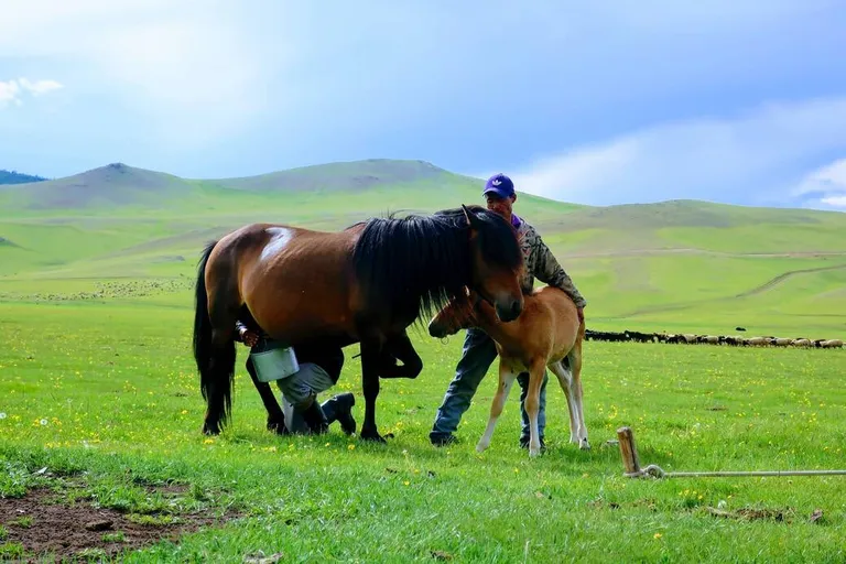 Nomadi u Mongolija