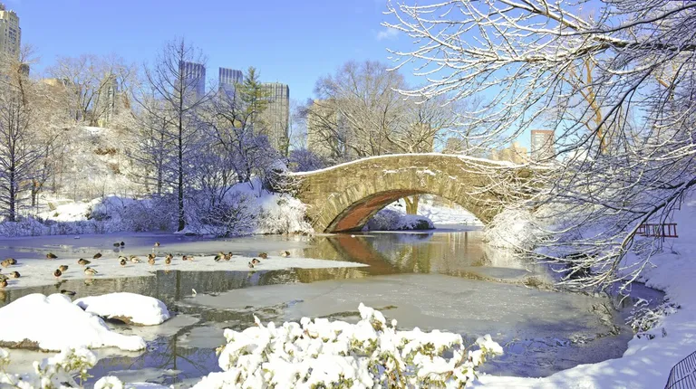 New York – popularni Central Park u zimskom ruhu
