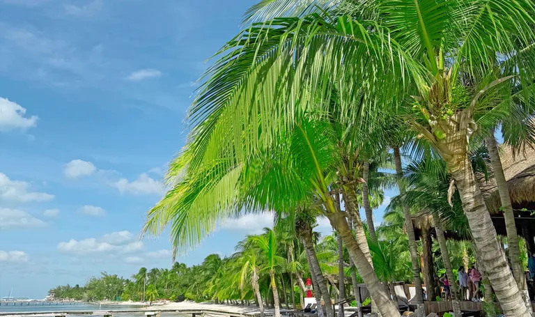 Meksiko – Isla Mujeres