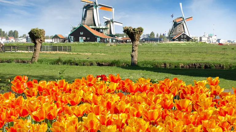 Nizozemska, Zaanse Schans, tradicionalno selo gdje se nalaze najljepši primjeci vjetrenjača