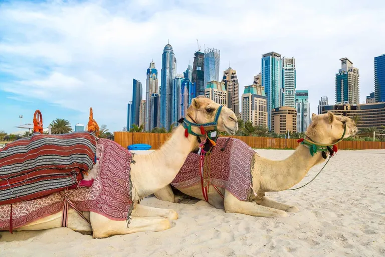 Dubai FLY 2027