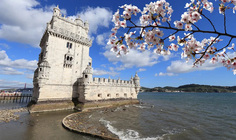 Portugal 6D