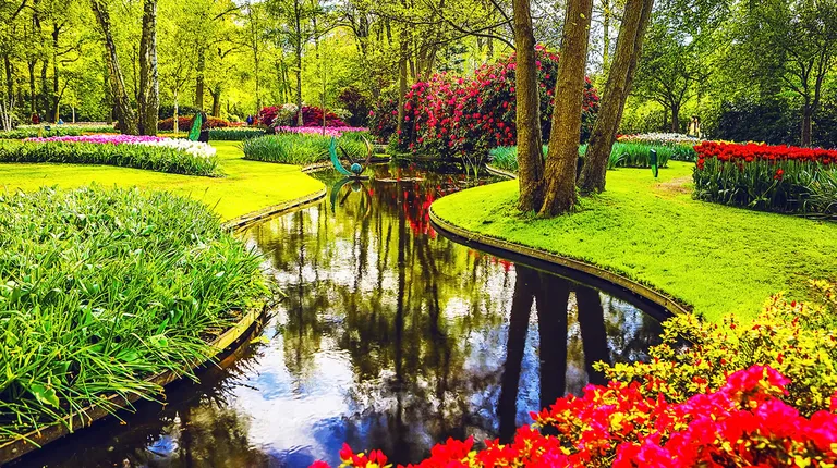 Nizozemska, Keukenhof-cvjetni park tulipana nedaleko Amsterdama