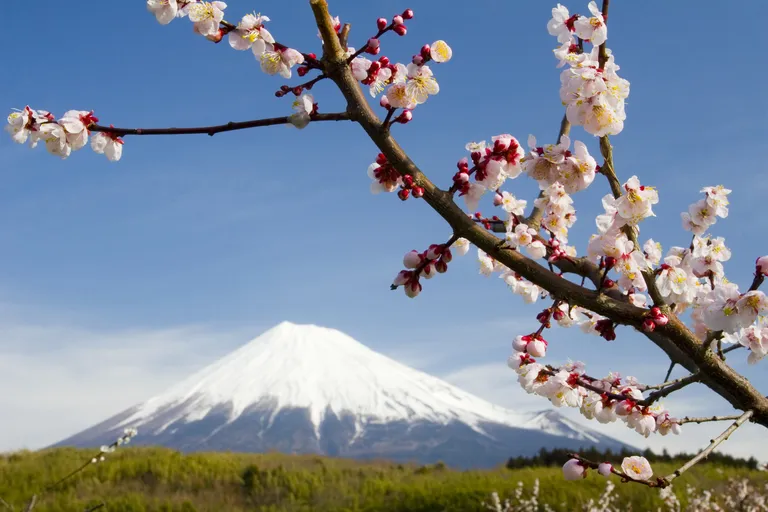 Japan