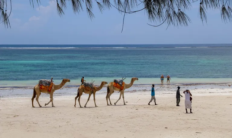 Kenija, Diani Beach i safari - 2027.
