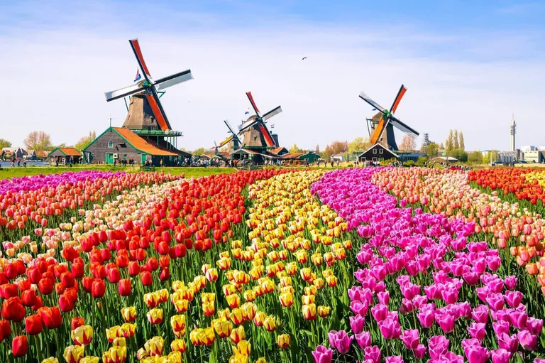 Amsterdam i Mala nizozemska tura