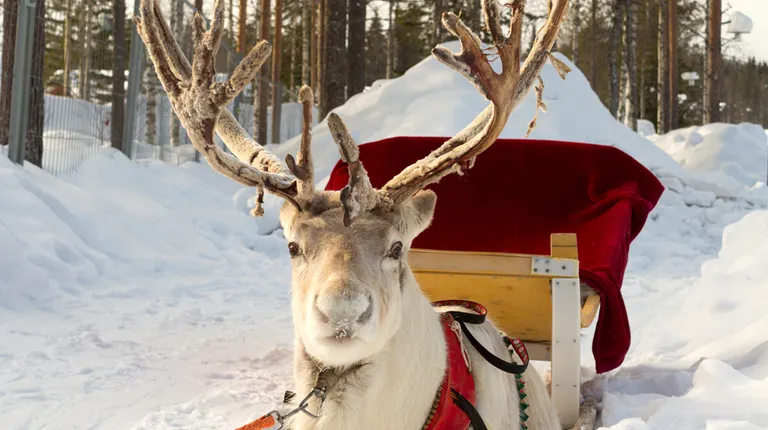 Finska, Laponija-Rovaniemi