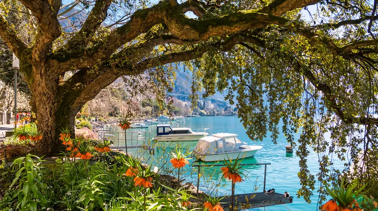 Švicarska, Ženevsko jezero- romantična destinacija Montreux