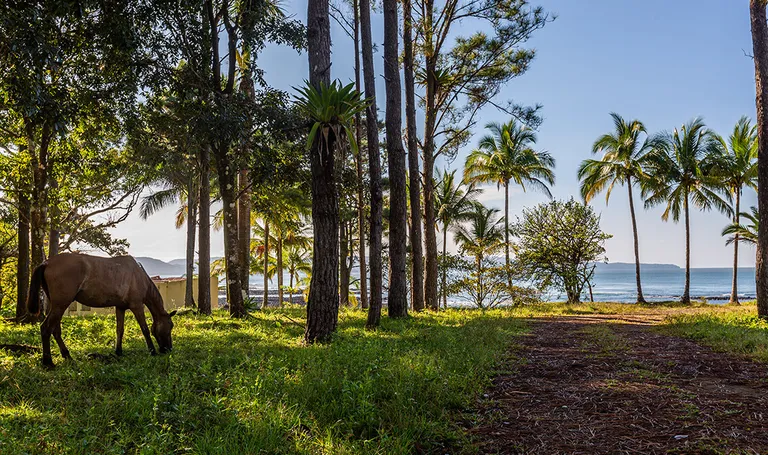 Panama, Santa Catalina – pogled na plažu