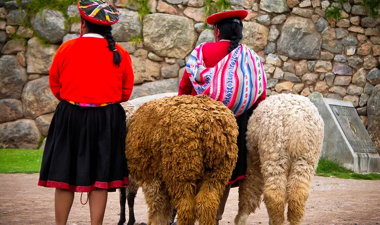 Peru, alpake i lokalno stanovništvo ispred utvrde Sacsayhuaman