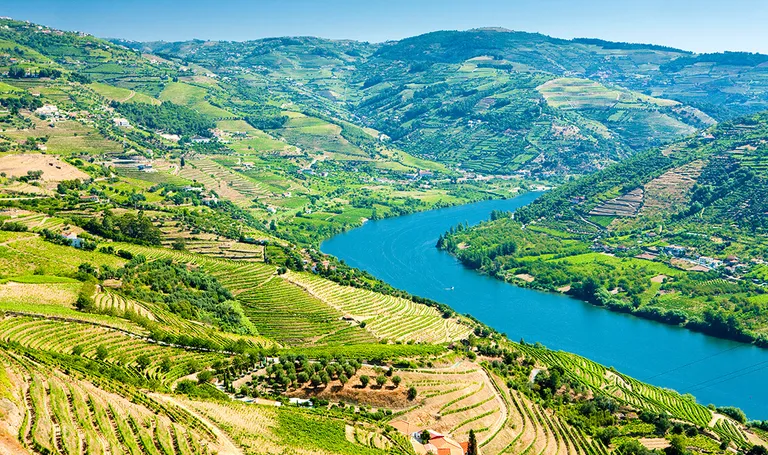 Portugal, pogled na dolinu Douro poznatu po proizvodnji vina