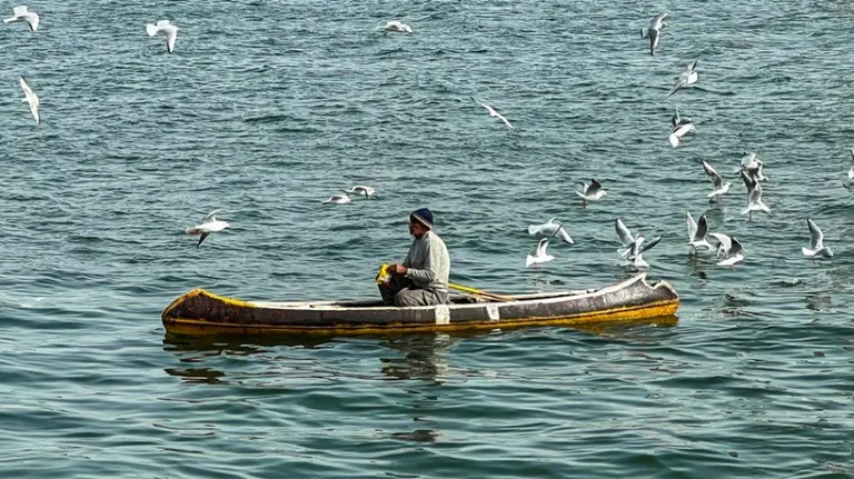 Shatt al arab, Basra – Irak