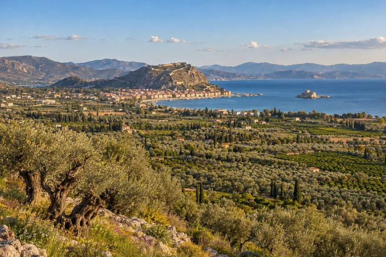 Stari maslinici iznad ravnice s narančicima, u daljini zaljev i Nafplio pod tvrđavom