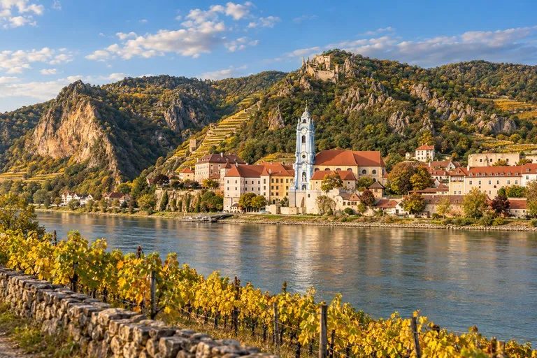 Plavo-bijeli toranj opatije u Dürnsteinu uz Dunav, iznad ruševina dvorca, u prvom planu vinograd